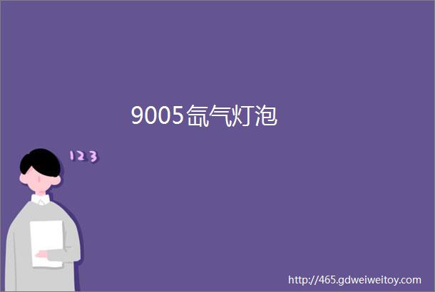 9005氙气灯泡